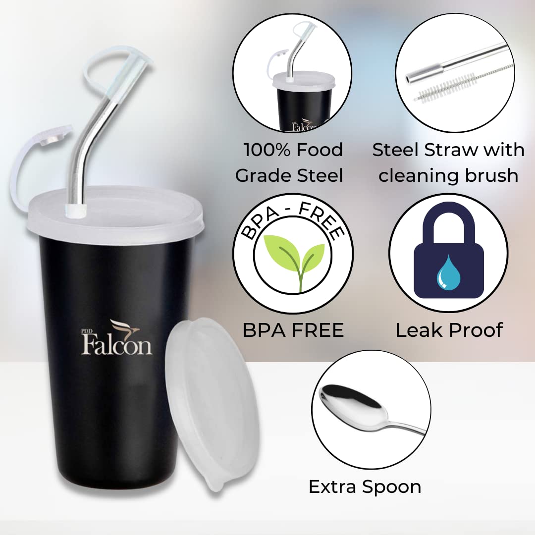PddFalcon Stainless Steel Drinkware Strawglass With Accessories 370ml Black