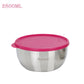 PddFalcon Stainless Steel Dura Bowl with Plastic Lid Pink