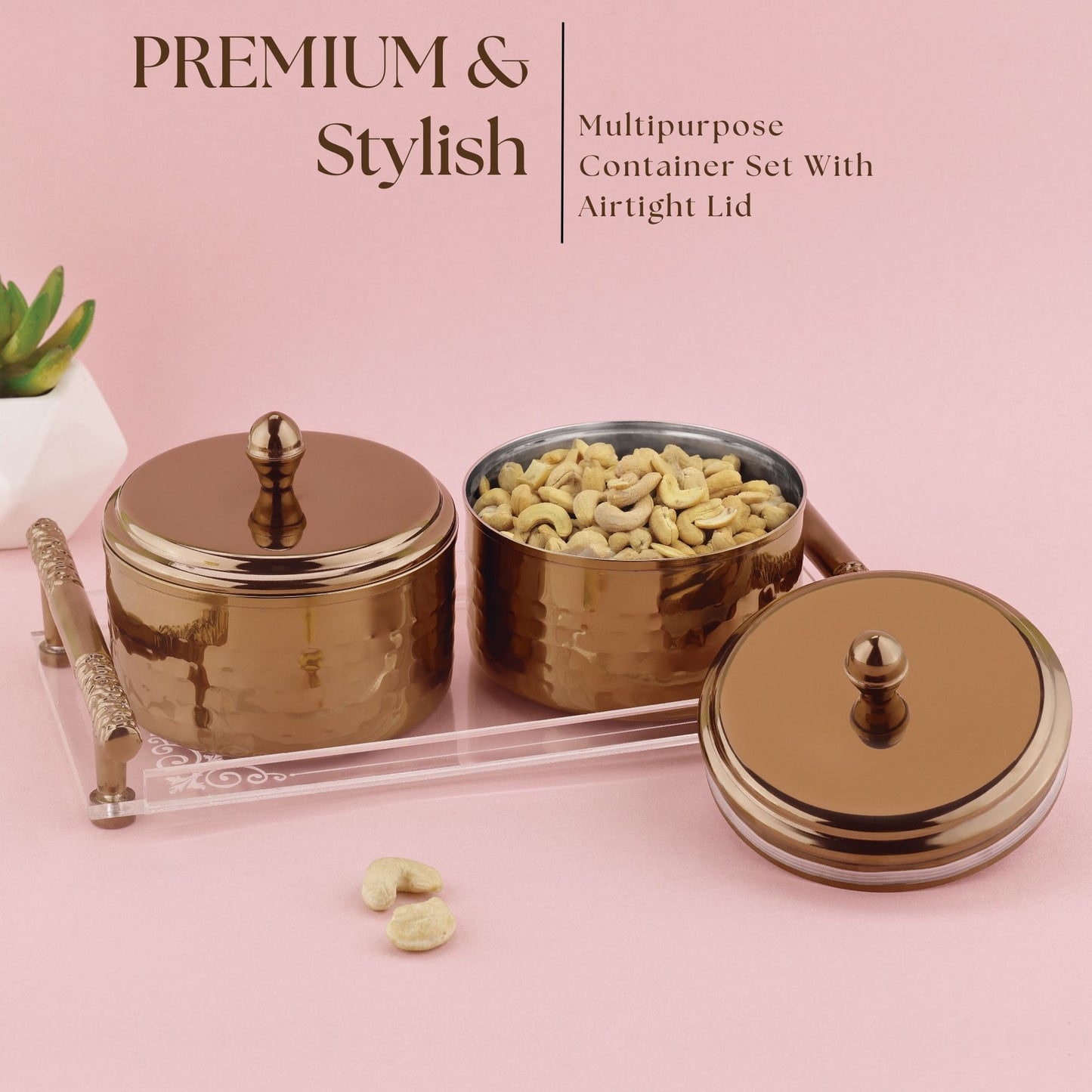 Dry Fruit Airtight Container 350ml- 2p With Acrylic Tray